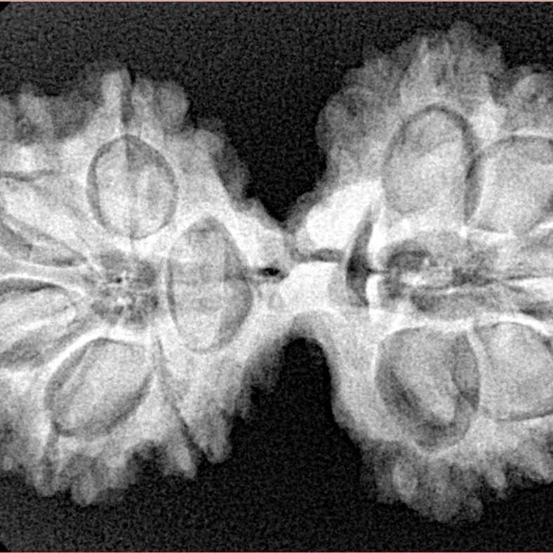 10 Mk Gaurishankar 36mm 6.38gm - Xray