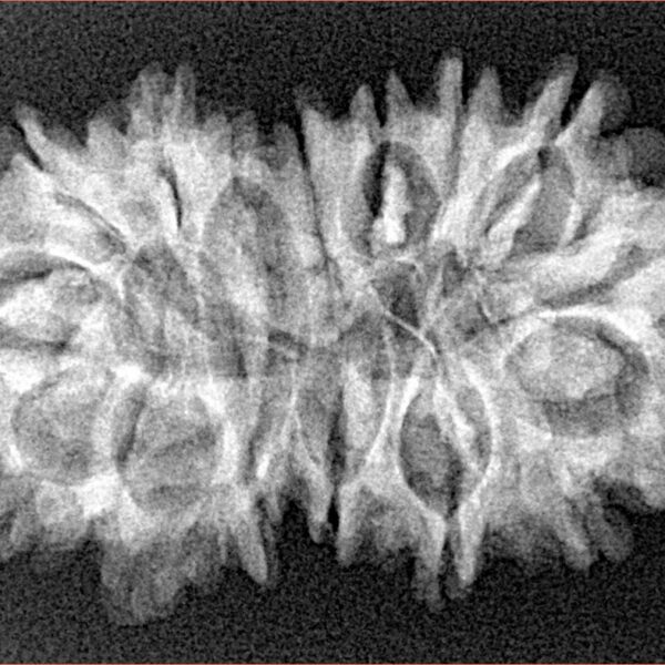 16 MK Gaurishankar 33.5mm 4.56gm - Xray