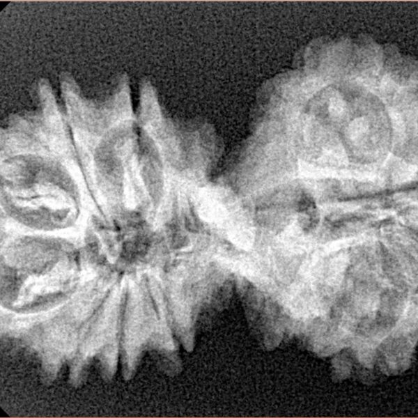 15 MK Gaurishankar 35.1mm 4.81gm - Xray