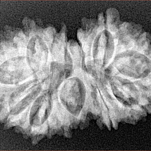 16 MK Gaurishankar 31.4mm 4.45gm - Xray