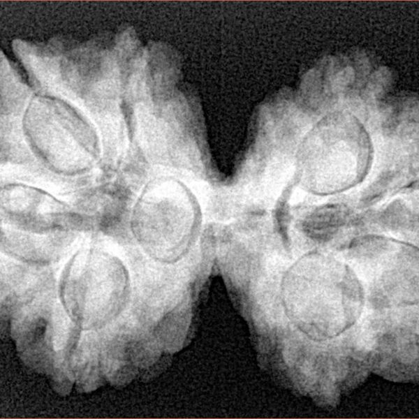 8 MK Gaurishankar 34.5mm 6.86gm - Xray