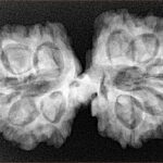 12 MK Mini Trijuti & Ganesh 34.6mm 6.26gm - Xray
