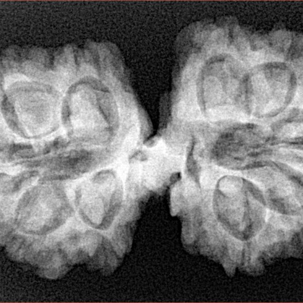 12 MK Mini Trijuti & Ganesh 34.6mm 6.26gm - Xray
