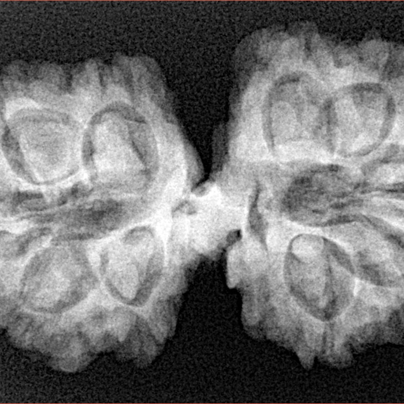 12 MK Mini Trijuti & Ganesh 34.6mm 6.26gm - Xray