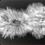 17 MK Gaurishankar 34.6mm 5gm - Xray