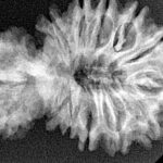 18 MK Gaurishankar 34.2mm 4.7gm - Xray