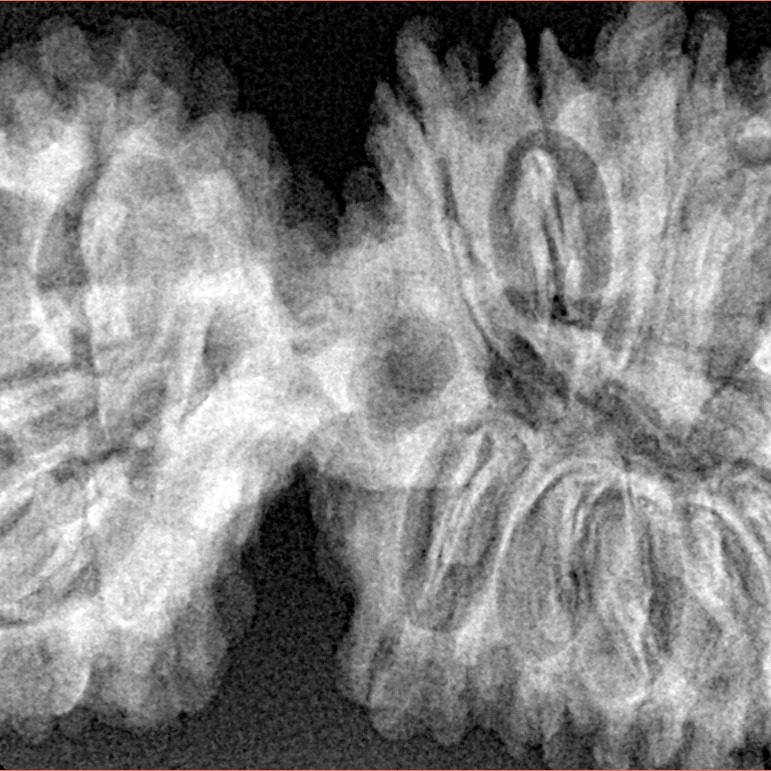17 MK Gaurishankar 43.1mm 8.28gm - Xray