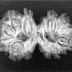 14 Mk Gaurishankar 29.1mm 3.79gm - Xray