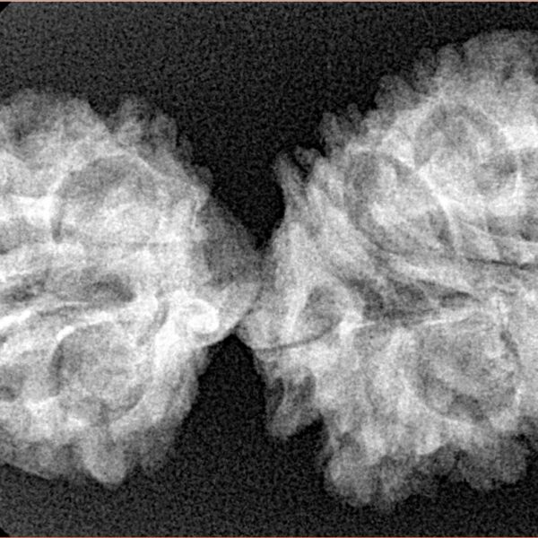 16 MK Gaurishankar 37.8mm 5.25gm - Xray