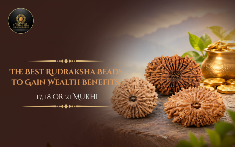 The Best Rudraksha Beads to Gain Wealth Benefits: 17, 18 or 21 Mukhi