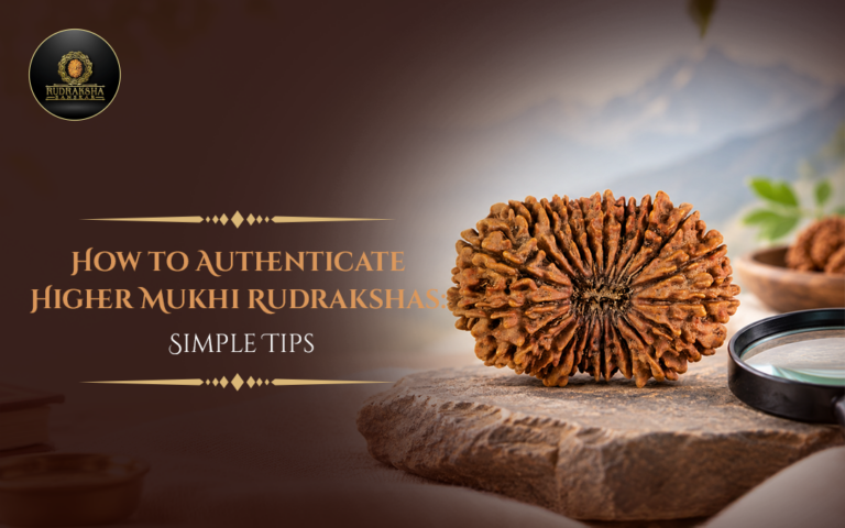 How to Authenticate Higher Mukhi Rudrakshas: Simple Tips