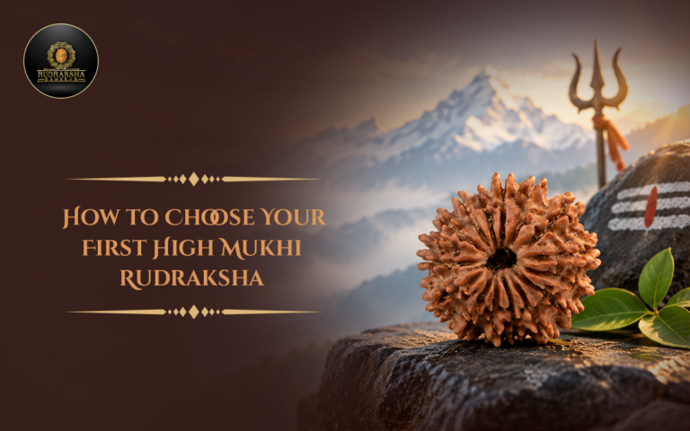 How to Choose Your First High Mukhi Rudraksha