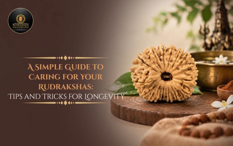 A Simple Guide to Caring for Your Rudrakshas: Tips and Tricks for Longevity