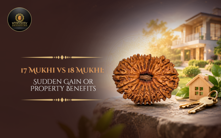 17 vs 18 Mukhi Rudraksha: Sudden Gain or Property Benefits?