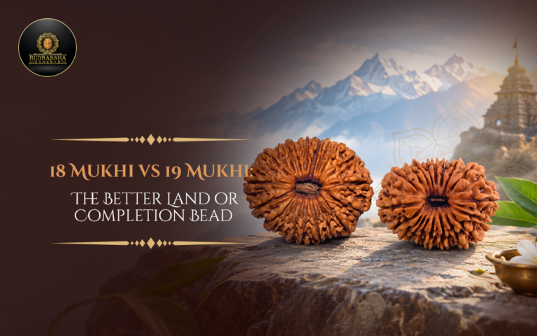 18 vs 19 Mukhi Rudraksha: The Better Land or Completion Bead
