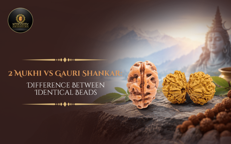 2 Mukhi vs Gauri Shankar: Difference Between Identical Beads