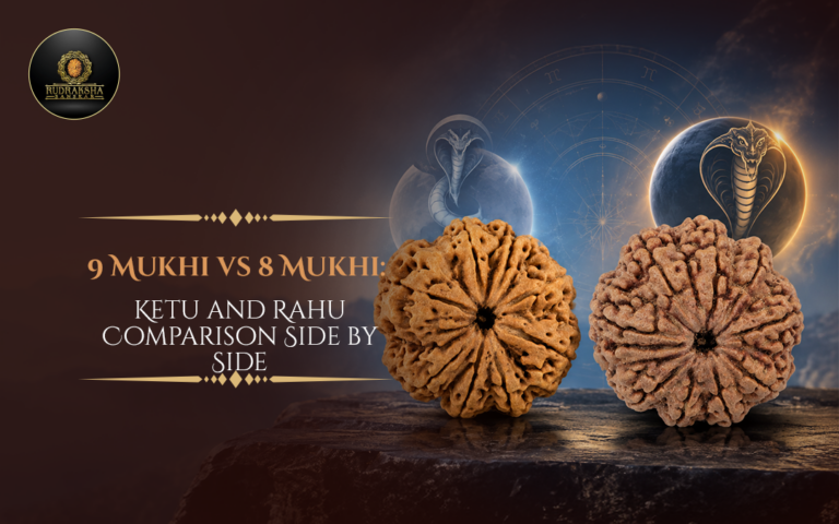 9 vs 8 Mukhi Rudraksha: Ketu and Rahu Comparison Side by Side