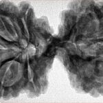 10 Mk Gaurishankar 43.4mm 10.56gm - Inverse xray