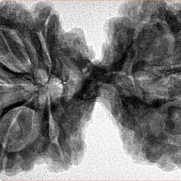 10 Mk Gaurishankar 43.4mm 10.56gm - Inverse xray