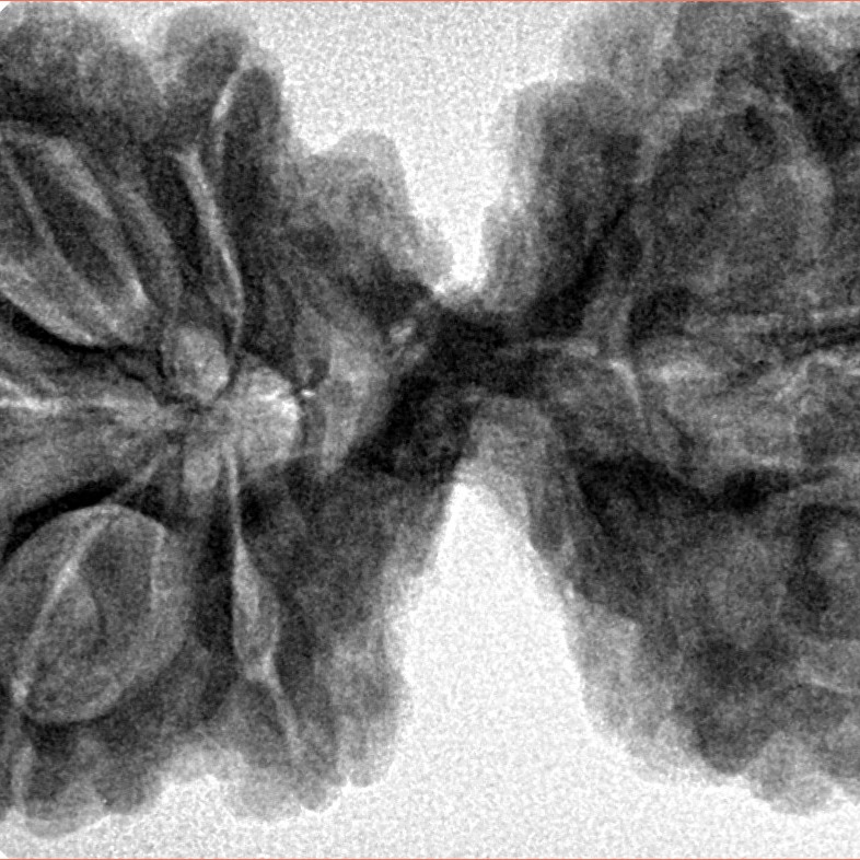 10 Mk Gaurishankar 43.4mm 10.56gm - Inverse xray