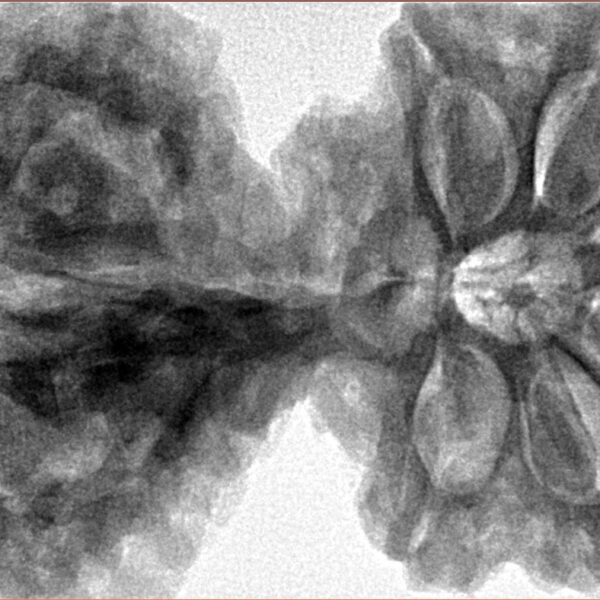 11 Mk Gaurishankar & Ganesh 44.4mm 11.64gm - Inverse xray