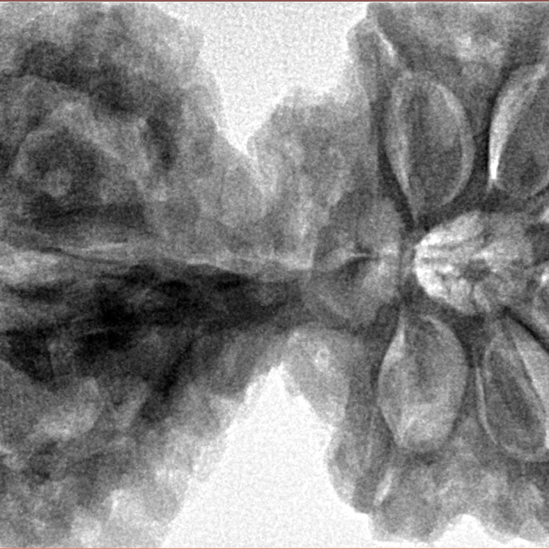 11 Mk Gaurishankar & Ganesh 44.4mm 11.64gm - Inverse xray