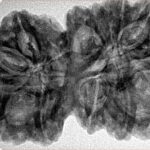 14 Mk Gaurishankar 38.6mm 7.72gm - Inverse xray