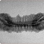 39 Mukhi Rudraksha 30.4mm 1.47gm - Inverse xray