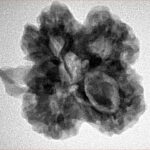( U/D ) Ganesh 25.7mm 4.85gm - Inverse xray