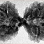 10 Mk Gaurishankar 42.3mm 9.46gm - Inverse xray