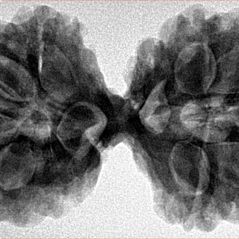 10 Mk Gaurishankar 42.3mm 9.46gm - Inverse xray
