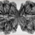14 Mk Gaurishankar 40.2mm 7.48gm - Inverse xray
