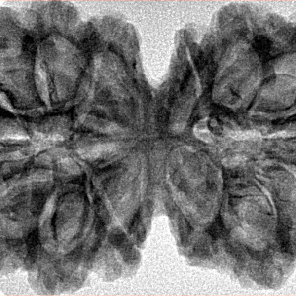 14 Mk Gaurishankar 40.2mm 7.48gm - Inverse xray