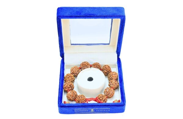5 Mukhi Nepali Bracelet - Mala Image