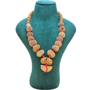 1 to 14 Mukhi Rudraksha Mala ( Siddha Mala ) 34.4738 - Mala Image