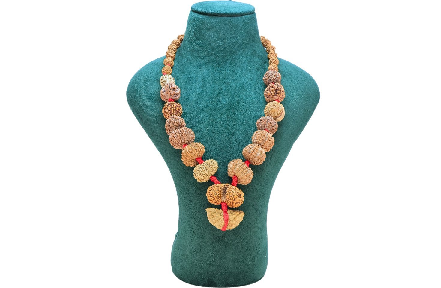 1 to 14 Mukhi Rudraksha Mala ( Siddha Mala ) 34.4738 - Mala Image