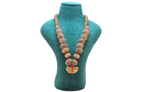 1 to 14 Mukhi Rudraksha Mala ( Siddha Mala ) 32.7654 - Mala Image