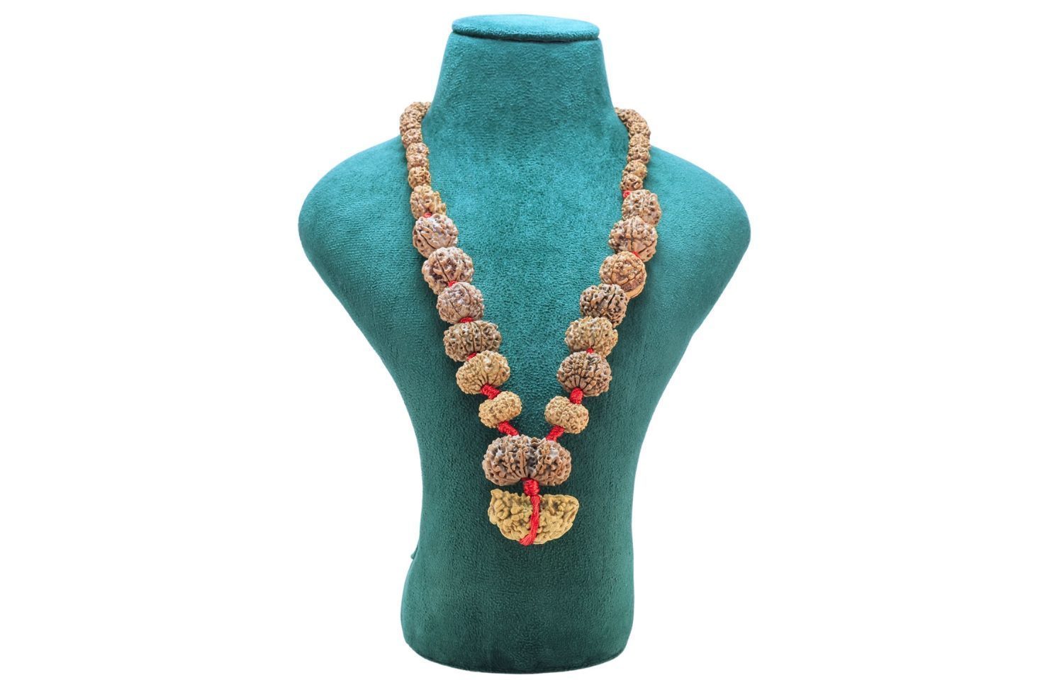 1 to 14 Mukhi Rudraksha Mala ( Siddha Mala ) 32.7654 - Mala Image