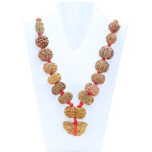 1 to 14 Mukhi Rudraksha Mala ( Siddha Mala ) 40.1785 - Mala Image