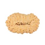 20 Mukhi Rudraksha 24.6mm 2.5gm - Rudraksha back