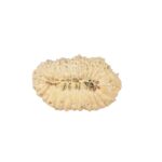 27 Mukhi Rudraksha 22.3mm 1.27gm - Rudraksha back