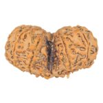10 Mk Gaurishankar 42.3mm 9.46gm - Rudraksha back