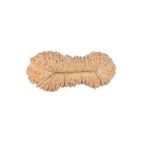 30 Mukhi Rudraksha 21.1mm 0.73gm - Rudraksha back