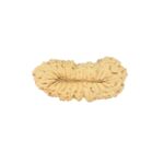 27 Mukhi Rudraksha 22.9mm 1gm - Rudraksha back