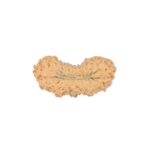 27 Mukhi Rudraksha 23.4mm 1.48gm - Rudraksha back