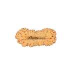 26 Mukhi Rudraksha 21.2mm 1gm - Origin: Indonesia - Rudraksha back