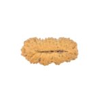 25 Mukhi Ganesh 21.3mm 0.91gm - Rudraksha back