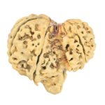 8 MK Garbhgauri & Ganesh 29.1mm 2.78gm - Rudraksha back
