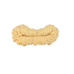 31 Mukhi Rudraksha 25.5mm 1.49gm - Rudraksha back