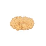 21 Mukhi Rudraksha 18.1mm 0.9gm - Rudraksha back